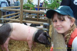 Erste Sattelschweine auf der BRALA 2007